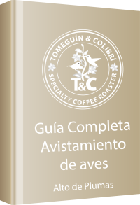 Ebook